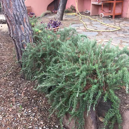 La Casa Dell'arco Semesterbostad Cala Liberotto